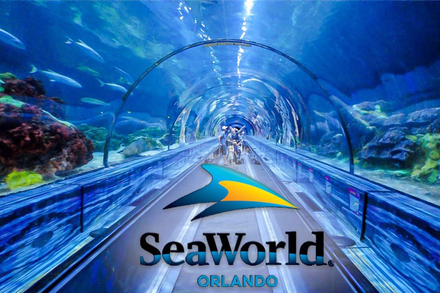 How To Get Free Admission Into Seaworld Orlando (In 2024)