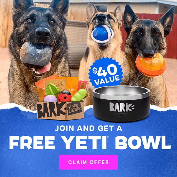 Free Yeti Dog Bowl With Bark Super Chewer Box