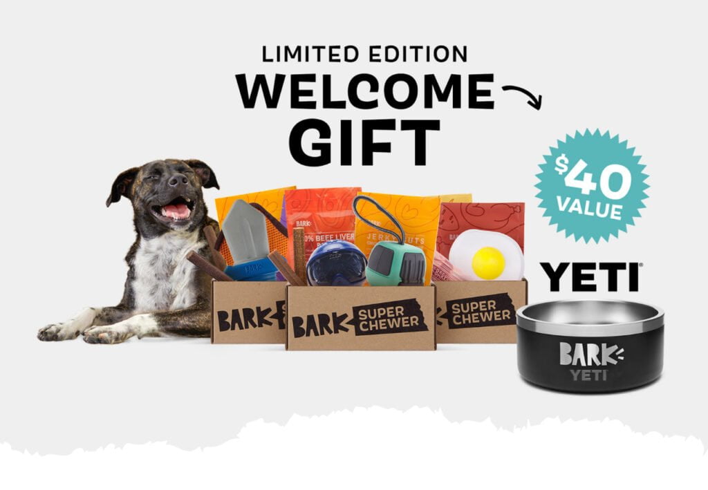 Free Yeti Dog Bowl With Bark Super Chewer Box