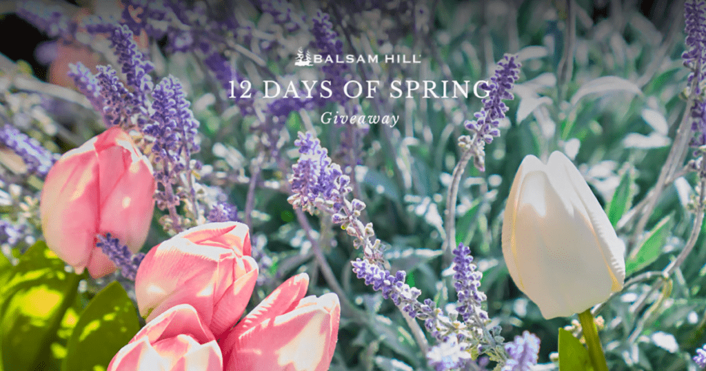 Balsam Hill’s 12 Days Of Spring Giveaway