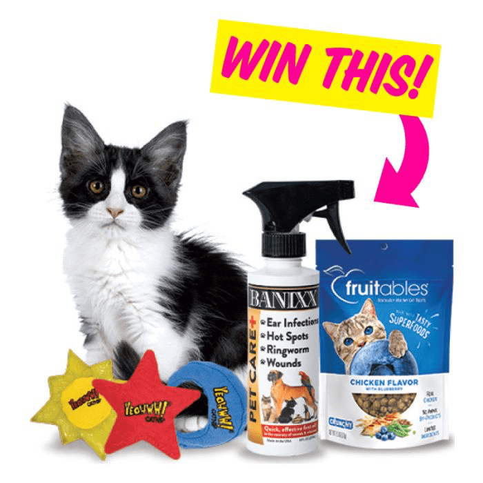 Modern Cat Banixx Giveaway