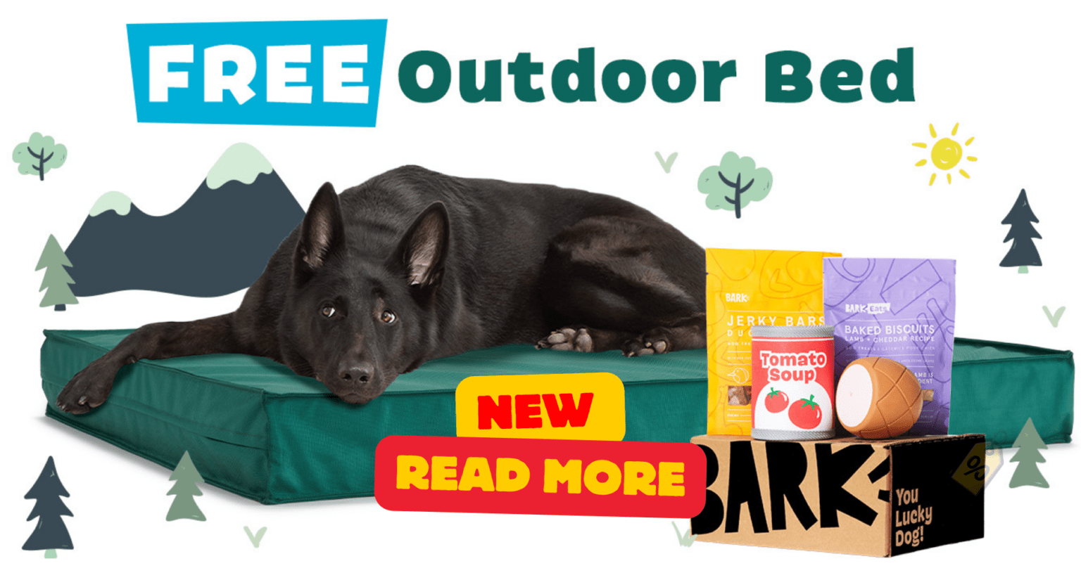 Free Waterproof Outdoor Dog Bed From Barkbox