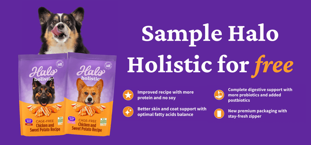 Free Halo Holistic Cage-Free Chicken &Amp; Sweet Potato Recipe Dog Food