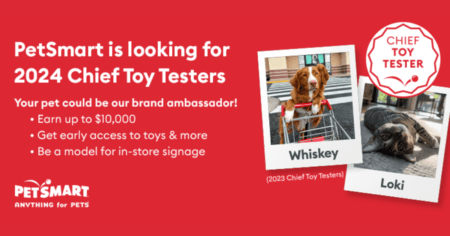 Free Petsmart Chief Toys By Becoming A Tester!