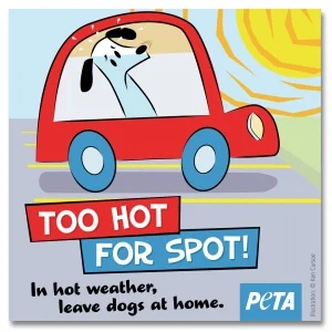 Free Too Hot For Spot Window Decal!