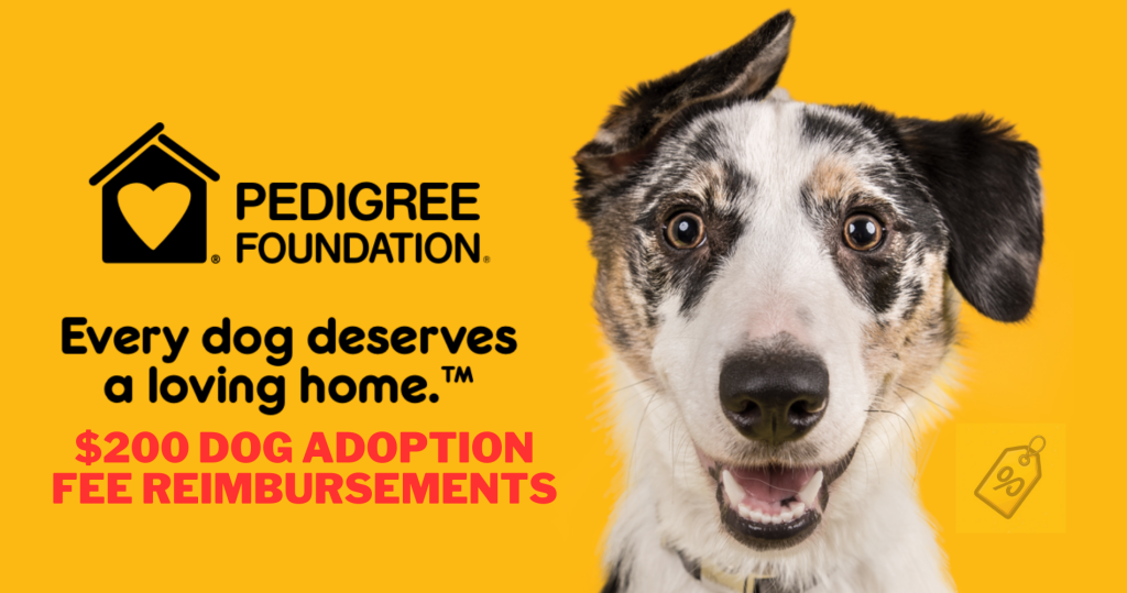 Free Dog Adoption Fee June 7-9 ($200 Reimbursement)