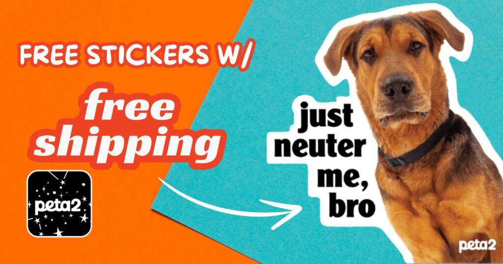 Get A Free Peta2 “Just Neuter Me, Bro” Sticker