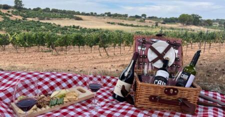 Win A Trip For 2 To Spain (Ribera Y Rueda Winery)