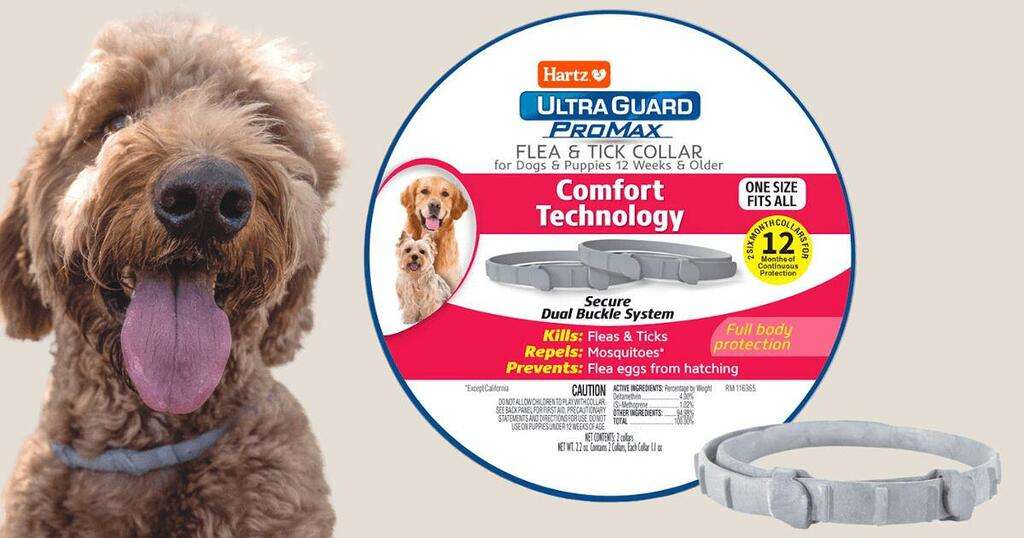 Get A Free Hartz 2-Pack Ultraguard Promax Flea &Amp; Tick Dog Collars!