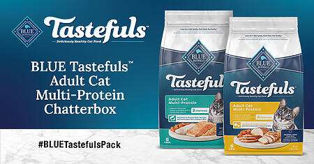 Apply To Be A Blue Buffalo Tastefuls Cat Food Chatterbox With Ripple Street