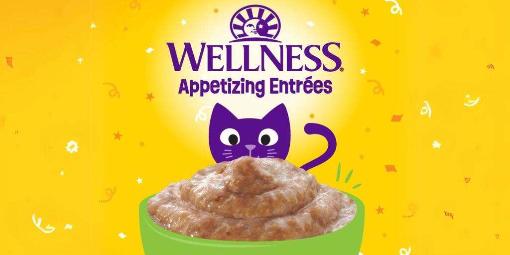 Free Wellness Appetizing Entrées Cat Food Sample With Send Me A Sample