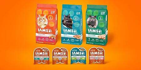 Free Bag Of Iams Proactive Health Kitten Food