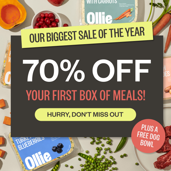 Ollie’s Biggest Sale Of The Year Is Ending Soon – Act Fast!