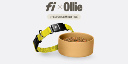 Free Fi Gps Collar ($99 Value) + 60% Off With Your First Starter Box With Ollie