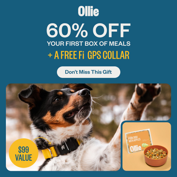 Free Fi Gps Collar ($99 Value) + 60% Off With Your First Starter Box With Ollie