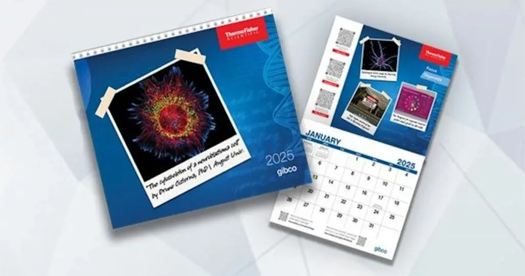 Plan Ahead With The 2025 Gibco Calendar—Available For Free From Thermofisher! This Exclusive Calendar Is Perfect For Professionals In The Scientific Community. Supplies Are Limited, So Grab Yours While They Last!